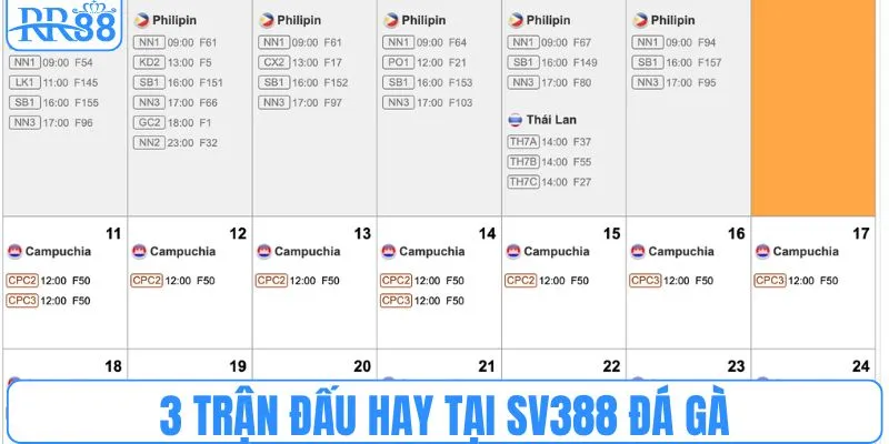 3 trận đấu hay tại SV388 đá gà
